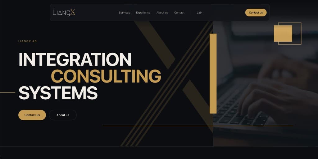 LiangX Consulting website